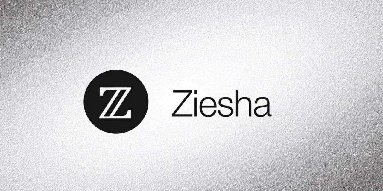 五分钟完成明牌空投 Ziesha 激励测试节点搭建(纯小白向,一键脚本)