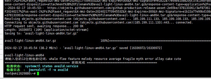 Avail 轻客户端节点搭建图文全流程(包含轻节点搭建以及领水步骤)