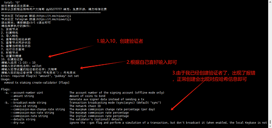 AI 热门项目0g.AI 验证者节点+存储节点搭建图文教程(验证者节点根据质押量排名,预计150位验证者)