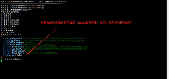 AI 热门项目0g.AI 验证者节点+存储节点搭建图文教程(验证者节点根据质押量排名,预计150位验证者)